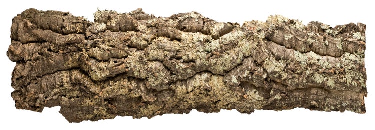 Naturkork-Rindenstück mit rauer Oberfläche für Terrarien und Dekorationen.