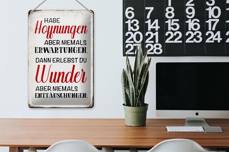 Blechschild Spruch 20x30cm habe Hoffnung Erwartungen Wunder
