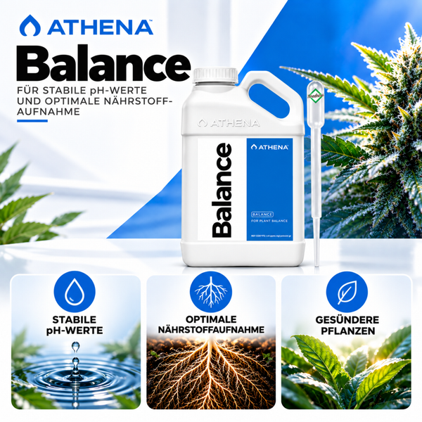 Athena Balance pH-Wert Stabilisator in Kunststoffflasche mit Pipette zur Unterstützung der Nährstoffaufnahme und Pflanzengesundheit.