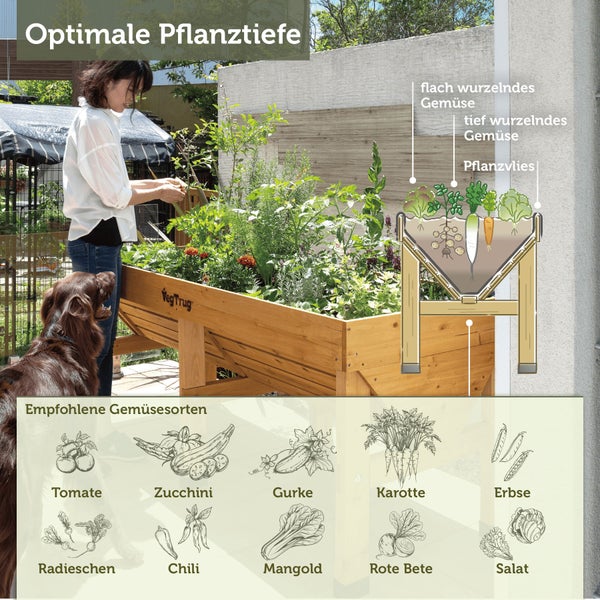 VegTrug Holz Hochbeet mit Infografik zur optimalen Pflanztiefe für flach und tief wurzelndes Gemüse sowie empfohlenen Gemüsesorten.