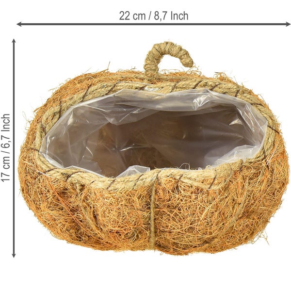 Pflanzkorb aus Kokosfaser mit Kunststofffolie in Kürbisform, Durchmesser 22 Zentimeter, Höhe 17 Zentimeter.
