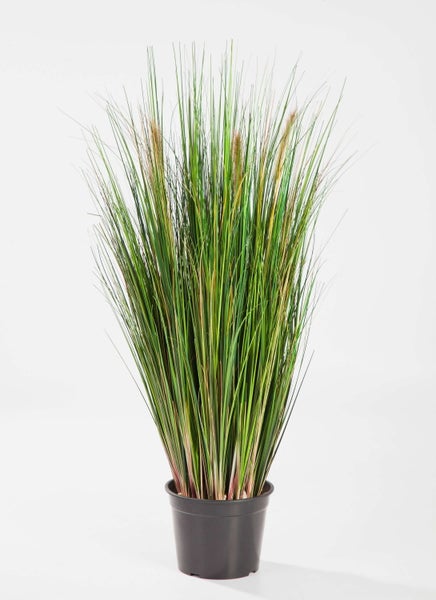 Künstliches Ziergras im schwarzen Kunststofftopf mit braunen Ähren.