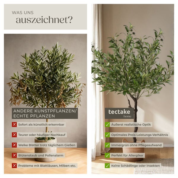 Dekorative Kunstpflanze im Vergleich zu echten Pflanzen.