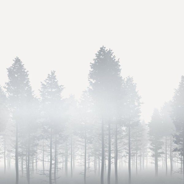 Illustration eines dichten Waldes im Nebel