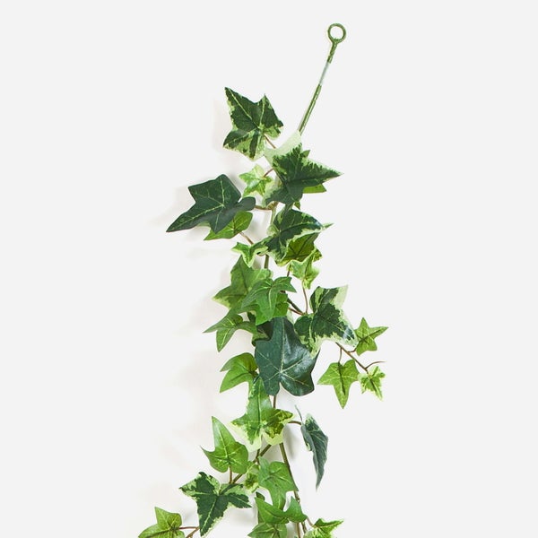 Künstlicher Efeu-Hänger mit panaschierten grünen Blättern und Aufhängeschlaufe aus Kunststoff.