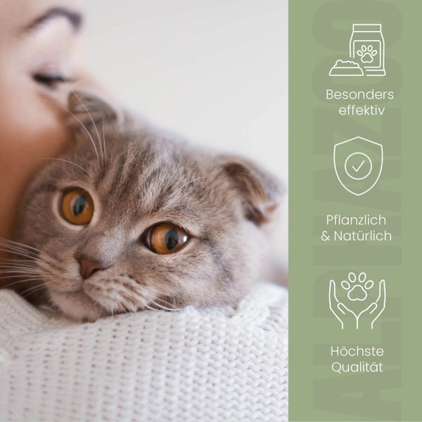 Katze wird gehalten, Symbole für Wirksamkeit, natürliche Inhaltsstoffe und Qualität