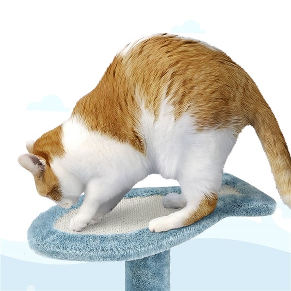 Katze auf Katzenkratzbaum