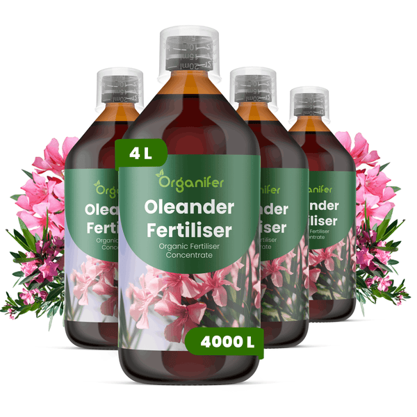 Vier Flaschen Organifer Oleanderdünger, organisches Düngerkonzentrat, 4 Liter ergeben 4000 Liter Gießwasser, mit Messbecher.