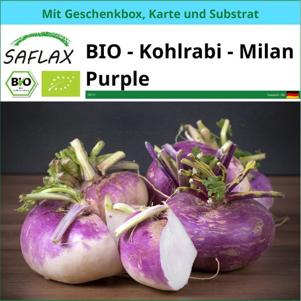 SAFLAX Geschenk Set - BIO - Kohlrabi - Milan Purple - Brassica rapa - 600 Samen - Mit Geschenkbox, Versandaufkleber, Geschenkkarte und Anzuchtsubstrat