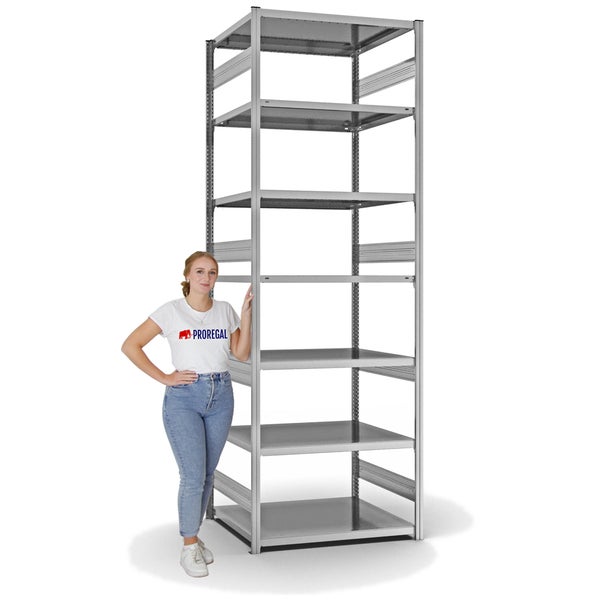 PROREGAL Fachbodenregal Stecksystem T-Profil Heavy-Duty Grundregal HxBxT 300 x 100 x 80 cm 7 Ebenen Fachlast 330 kg Beidseitig Nutzbar Verzinkt