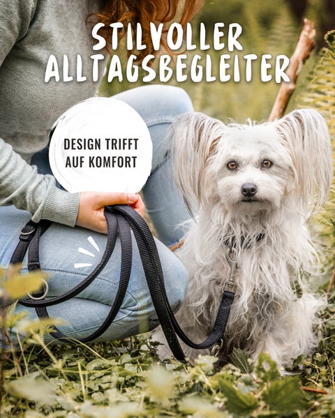 Frau mit Hund an der Leine im Freien, Text: Stilvoller Alltagsbegleiter, Design trifft auf Komfort