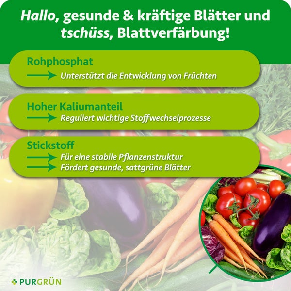 Infografik zum Purgrün Pflanzendünger mit Hinweisen zu Rohphosphat Kalium und Stickstoff sowie deren Wirkung auf das Pflanzenwachstum.