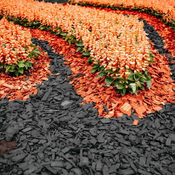 Beetbepflanzung mit Rindenmulch und Blumen