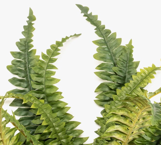 Detailansicht eines künstlichen Farnblatts mit grünen, gezackten Blättern.