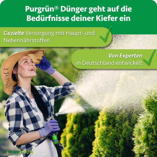 Eine Frau mit Gartenhut und Handschuhen bewässert Pflanzen im Garten. Werbegrafik für Purgrün Kieferndünger mit Informationen zu Nährstoffen.