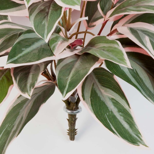 Künstliche Stromanthe-Pflanze mit spitz zulaufenden Blättern in Grün und Rosa.