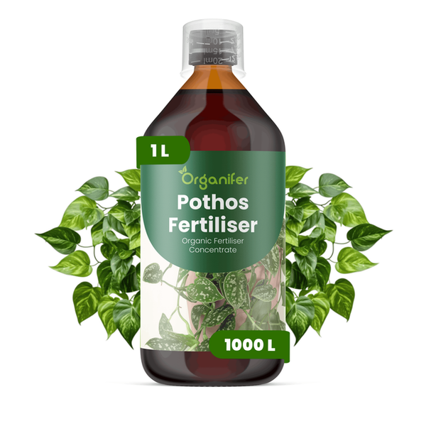 Organifer Pothos Dünger, organisches Flüssigdünger Konzentrat, 1 Liter Flasche für 1000 Liter, mit Messbecher und Pothos Blättern.
