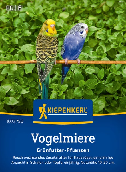 Samen für Vogelmiere als Ergänzungsfutter für Vögel in einer Kiepenkerl Packung