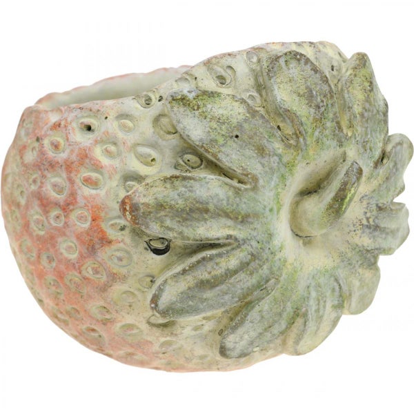 Blumentopf in Erdbeerform
