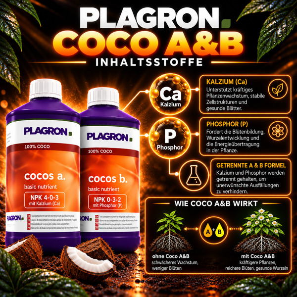 Plagron Coco A und B Pflanzendünger für Wachstum und Blüte mit Inhaltsstoffen Kalzium und Phosphor sowie Erklärung der Wirkungsweise.