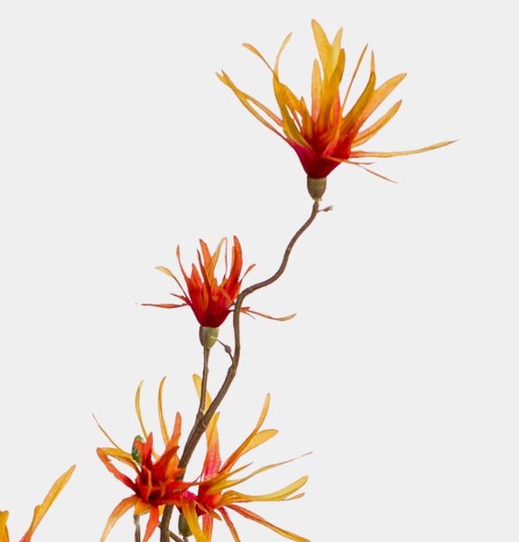 Künstlicher Blumenzweig mit exotischen, rot-orangen, sternförmigen Blüten.