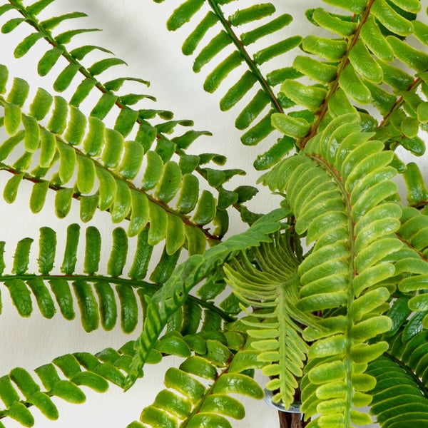 Grüne künstliche Blätter einer Monstera mit charakteristischen Löchern und Blattadern.