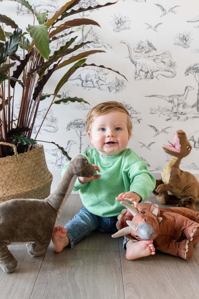 Ein lächelndes Baby sitzt mit Stofftieren und einer Zimmerpflanze auf dem Boden vor einer Dinosaurier-Tapete.