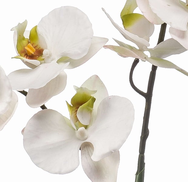 Künstliche Orchidee Phalaenopsis mit weißen Blüten an einem Zweig.