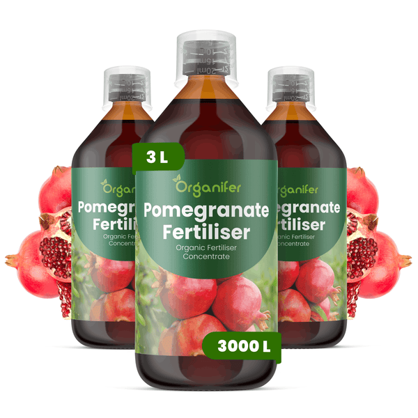 Organifer Granatapfel-Dünger, organisches Flüssigdünger-Konzentrat, 3 Liter für 3000 Liter Gießwasser.