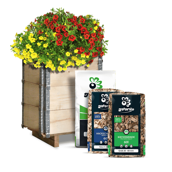 Holz-Pflanzkübel mit rot-gelben Blumen sowie drei Säcken Galamio Kiefernrinde und Hackschnitzel.