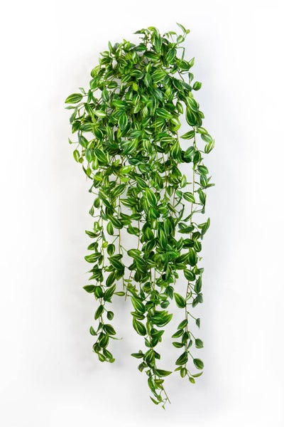 Künstliche Hängepflanze mit grün-weiß gestreiften Blättern, Tradescantia-Nachbildung für die Innenraumdekoration.