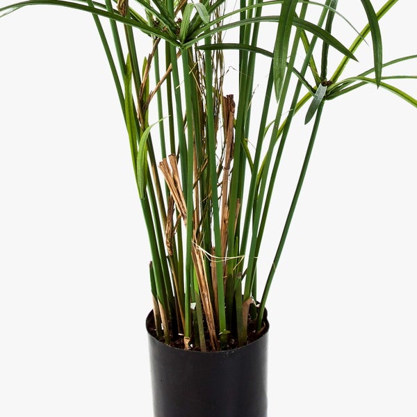 Künstliche Schmucklilie Agapanthus mit lila Blüten und grünem Stiel.