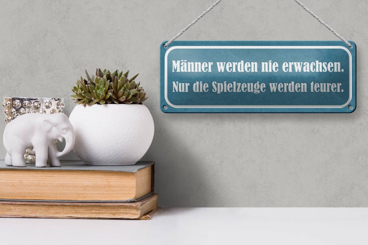Blechschild Spruch 27x10cm Männer nie erwachsen Spielzeuge Dekoration