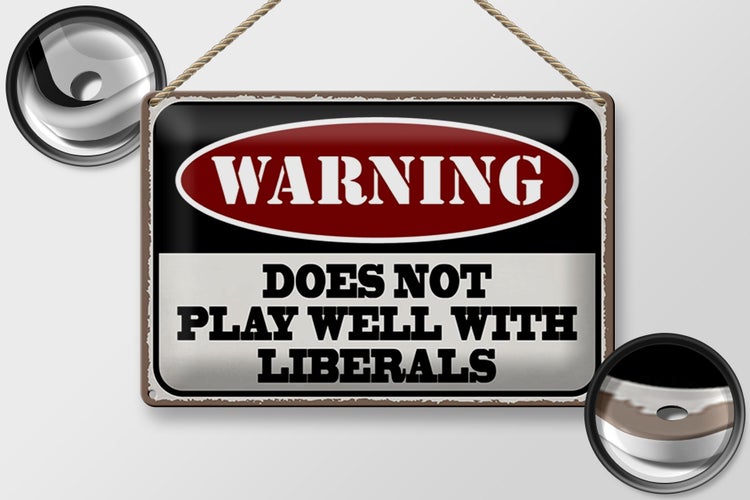 Blechschild Spruch 30x20cm Warning does not play well with
