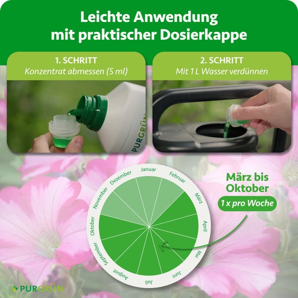 Nahaufnahme eines knorrigen Olivenbaumstamms mit strukturierter Rinde in einem Pflanztopf.