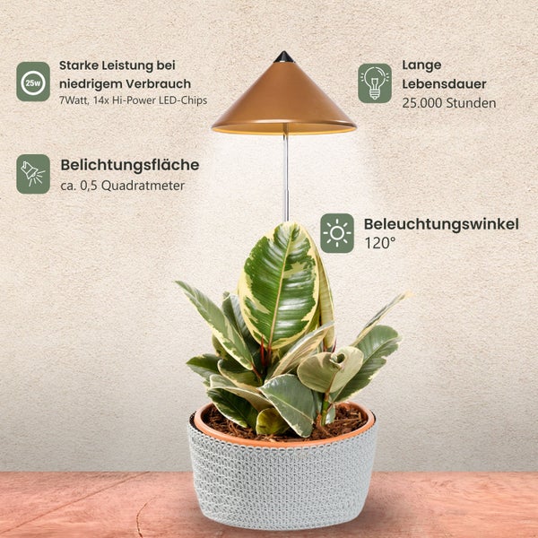Parus by Venso SUNLiTE 7W LED Vollspektrum Pflanzenlampe Kupfer, Indoor Plants Pflanzen Beleuchtung, mit ausziehbarem Teleskopstab, Parus Pflanzenlampe für kleine und mittelgroße Zimmerpflanzen