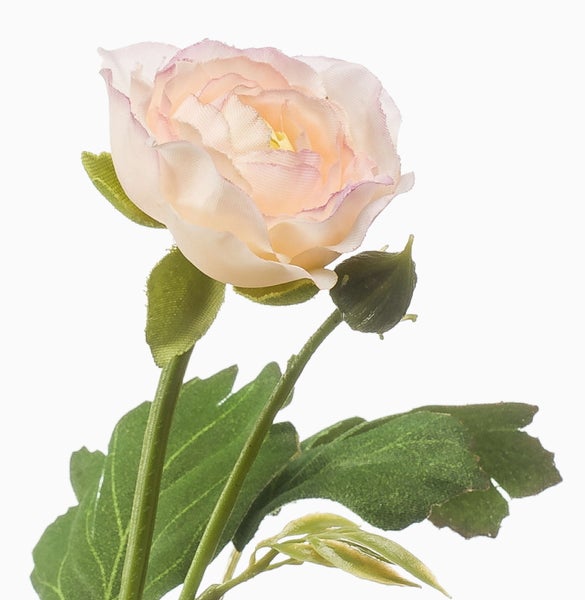 Künstliche Ranunkel mit einer cremefarbenen Blüte, einer Knospe und grünen Blättern.