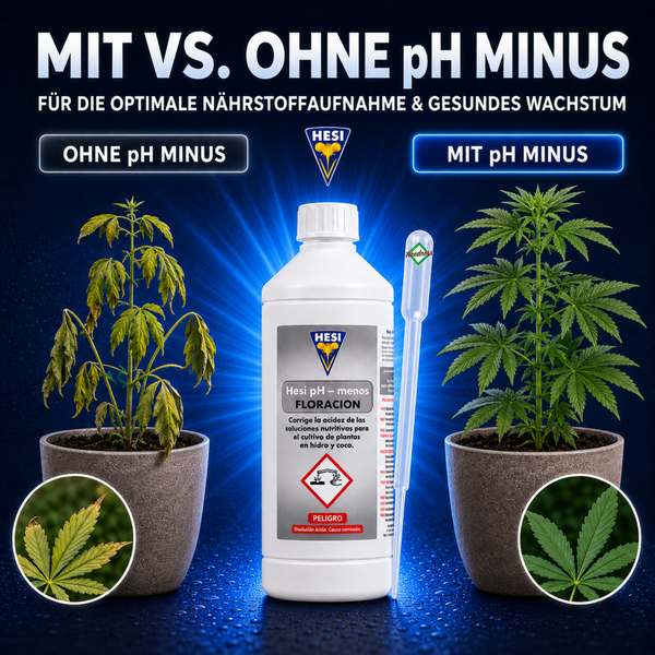 Hesi pH Minus Floracion Flasche mit Messpipette und Pflanzenvergleich zur pH Wert Regulierung im Gartenbau.