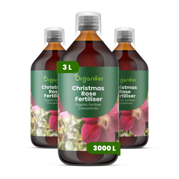 Drei Flaschen Organifer Christrosendünger, organisches Düngerkonzentrat, insgesamt 3 Liter.