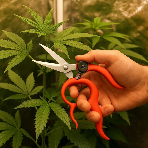 Gartenschere mit gebogenen Griffen zum Beschneiden von Pflanzen