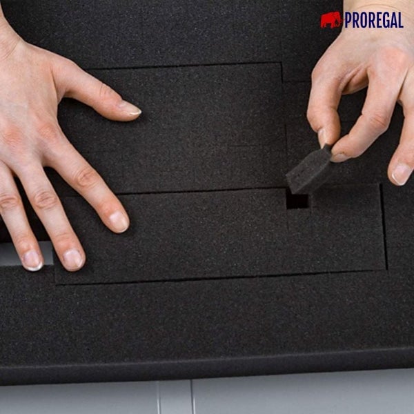 PROREGAL Eurobox NextGen Portable Mit Rasterschaumstoff und Schaumstoffeinlage HxBxT 23,5 x 40 x 60 cm 44 Liter Eurobehälter Transportbox