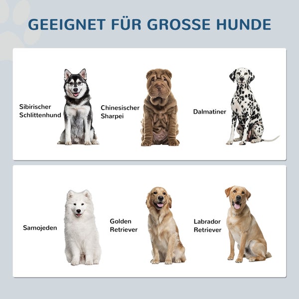 Infografik für große Hunde: Sibirischer Schlittenhund, Chinesischer Sharpei, Dalmatiner, Samojede, Golden Retriever und Labrador Retriever.