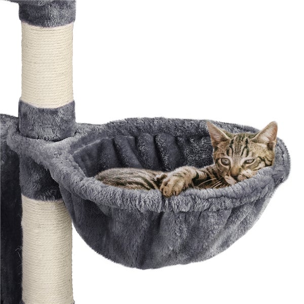 Katze ruht in einem Katzenkorb an einem Kratzbaum