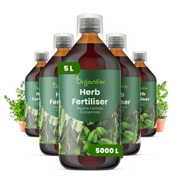 Fünf Flaschen Organifer Kräuterdünger Konzentrat, jeweils 5 Liter, organischer Dünger für Kräuterpflanzen.