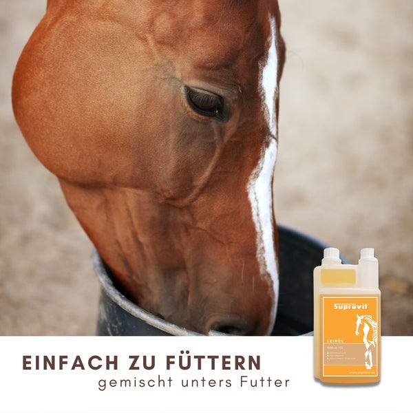 Pferde-Ergänzungsfutter Leinöl von Supravit neben fressendem Pferd