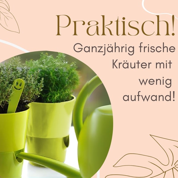 Frische Kräuter im Topf mit Bewässerungssystem und Gießkanne für den Innenbereich