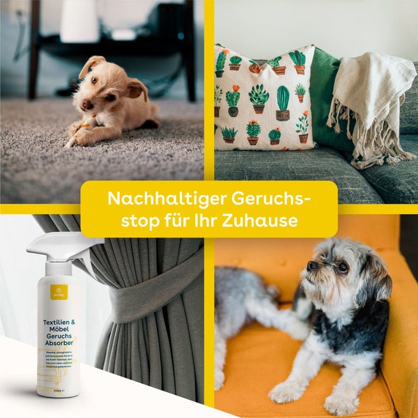 eco:fy Textilien- und Möbel-Geruchsabsorber • entfernt festsitzende Gerüche