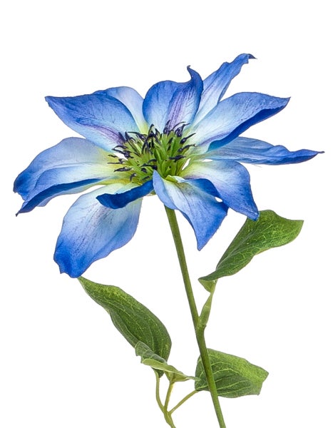 Künstliche Waldrebe Clematis mit blauer Blüte und grünem Stiel.