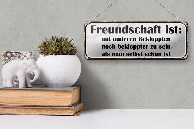 Blechschild Spruch 27x10cm Freundschaft ist noch bekloppter Dekoration
