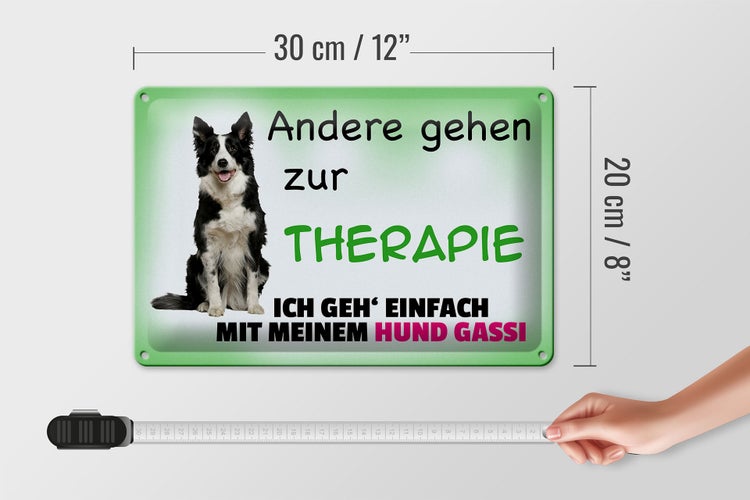 Blechschild Spruch 30x20cm ich geh' mit meinem Hund Gassi